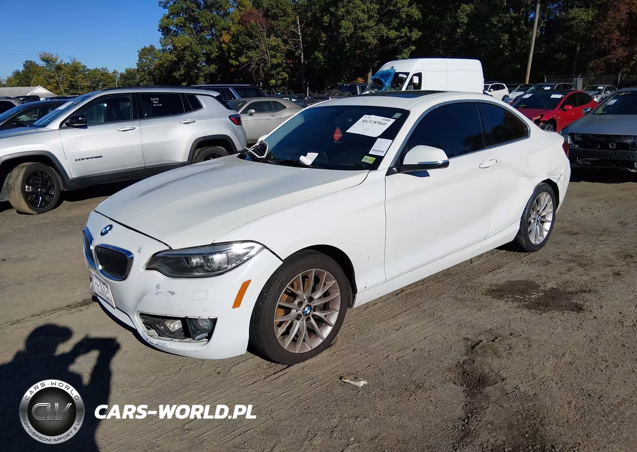 2015 BMW 228I VIN:WBA1F5C54FV256514 - 2