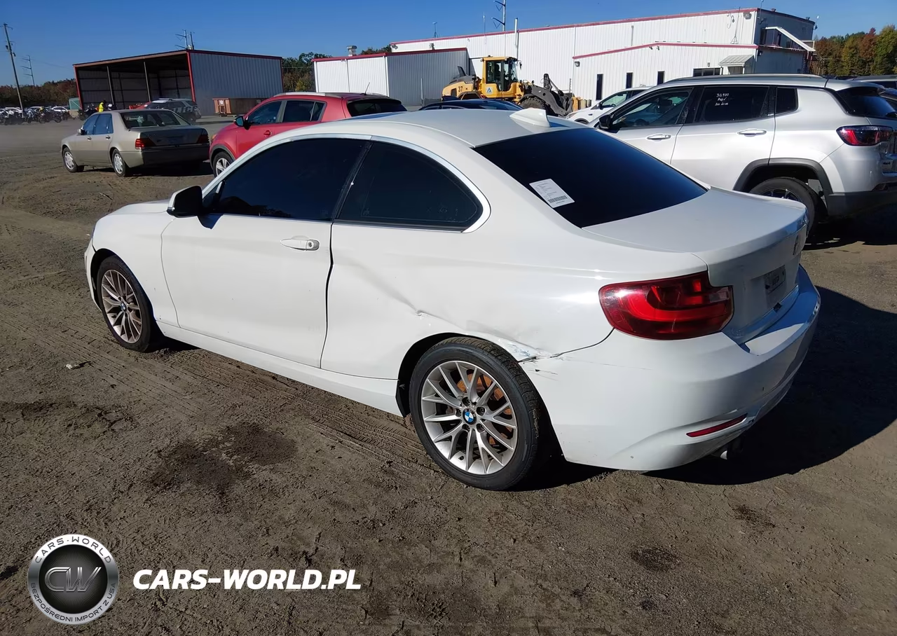 2015 BMW 228I VIN:WBA1F5C54FV256514 - 3