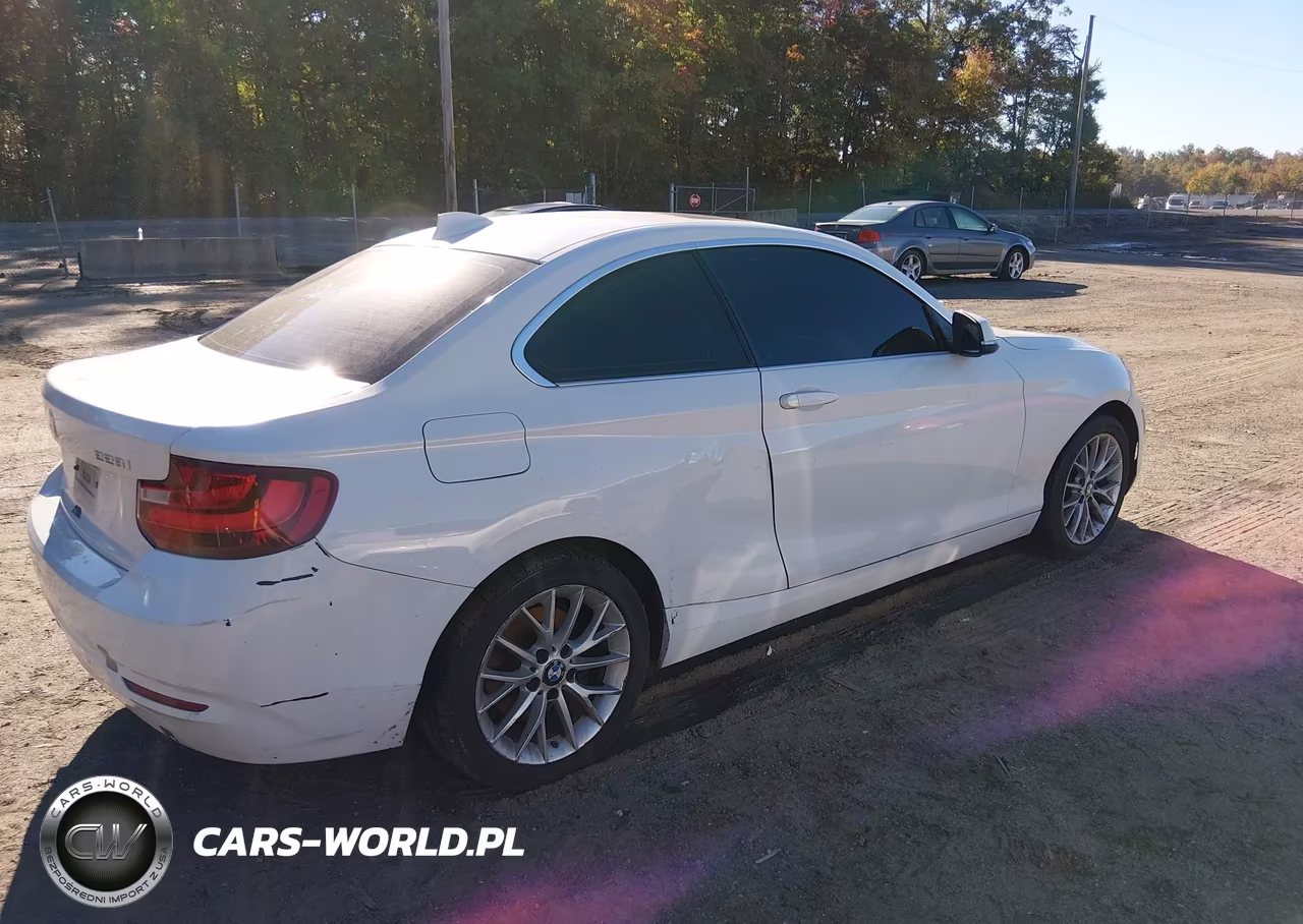 2015 BMW 228I VIN:WBA1F5C54FV256514 - 4