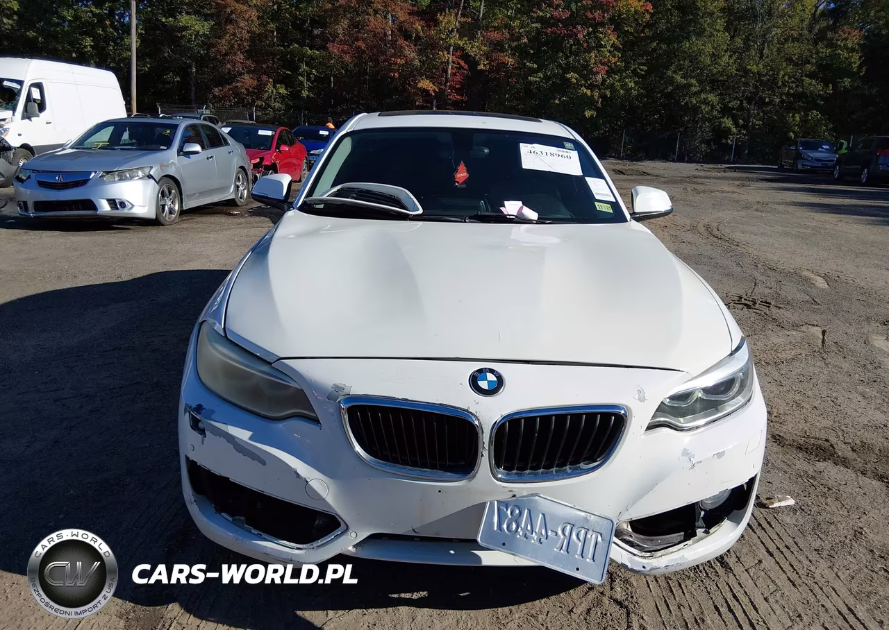 2015 BMW 228I VIN:WBA1F5C54FV256514 - 6