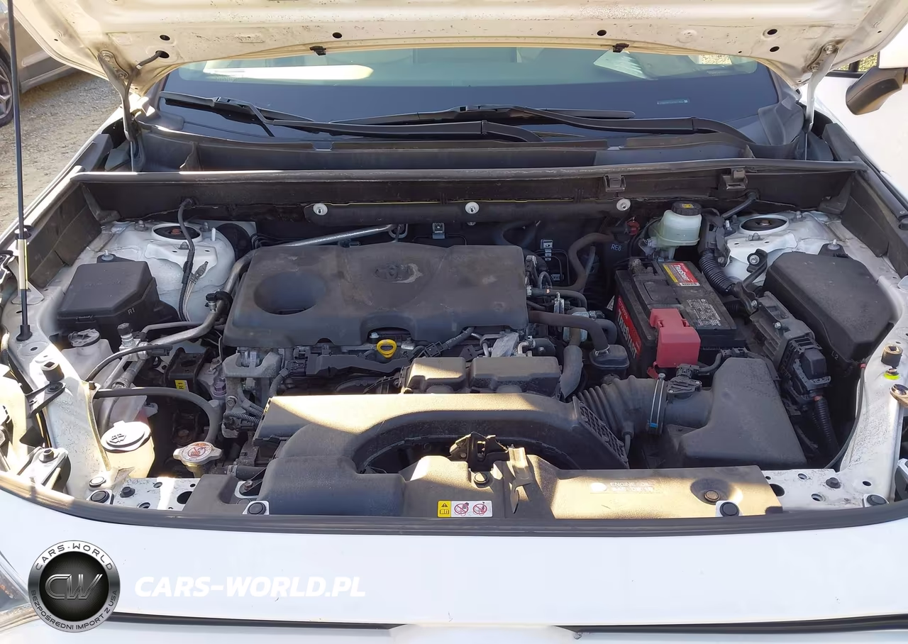 2019 Toyota Rav4 Xle Premium VIN:JTMA1RFV1KD511432 - 10
