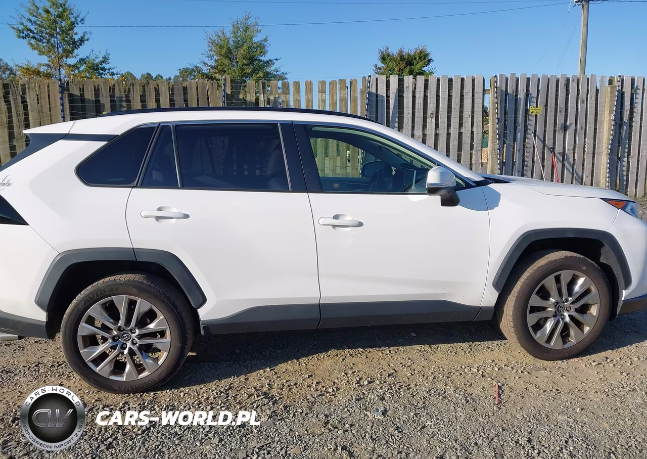 2019 Toyota Rav4 Xle Premium VIN:JTMA1RFV1KD511432 - 13