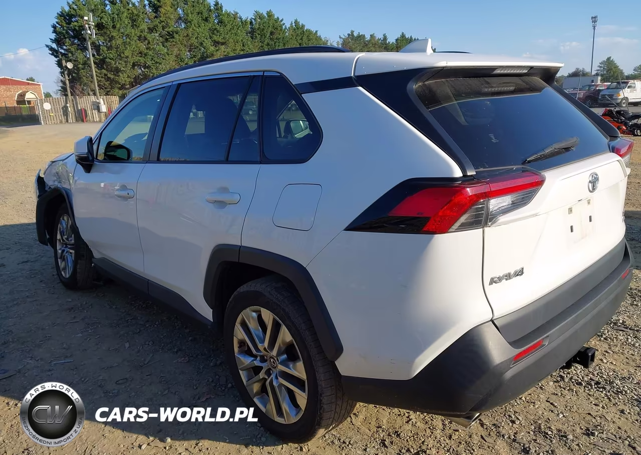 2019 Toyota Rav4 Xle Premium VIN:JTMA1RFV1KD511432 - 3