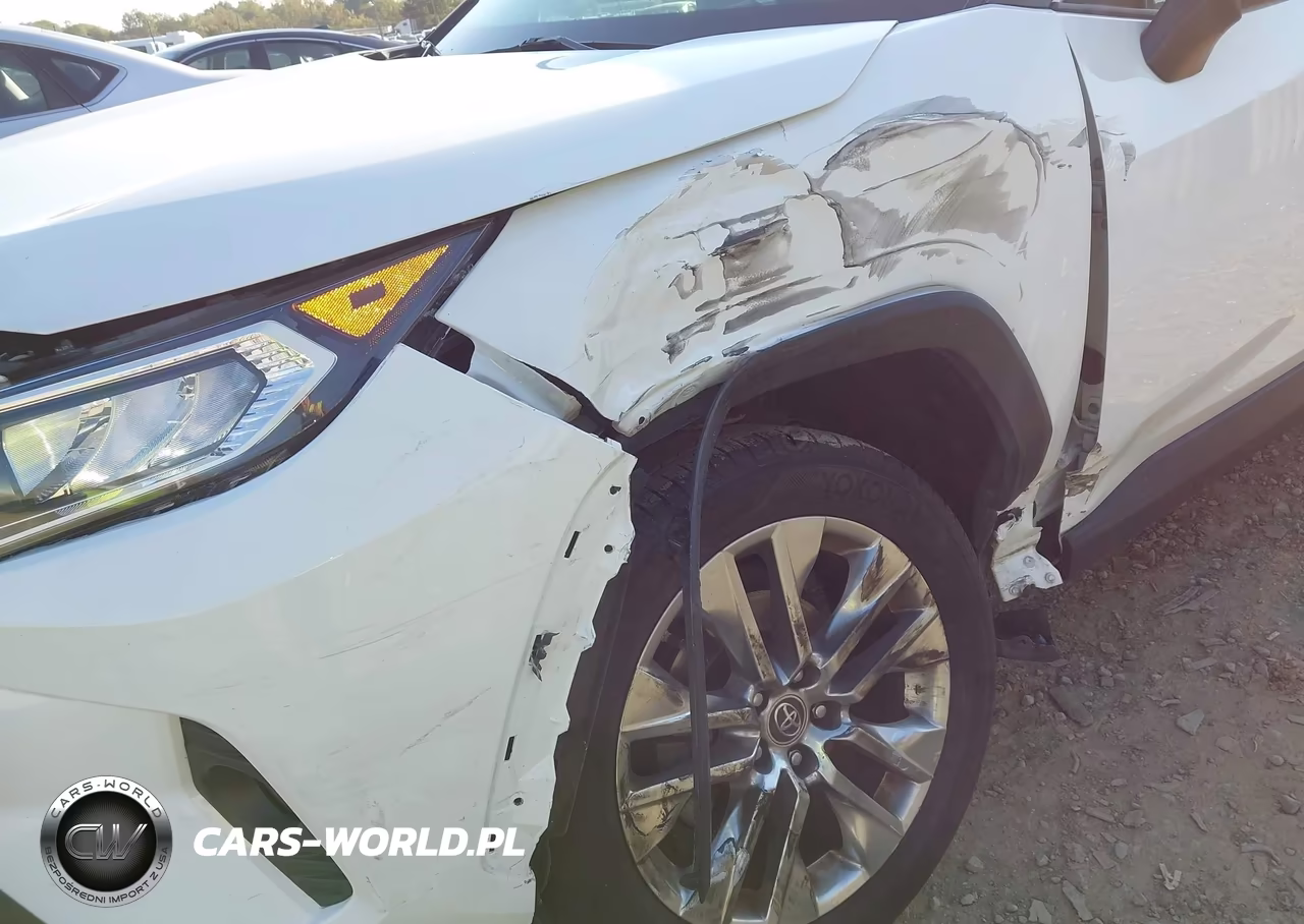 2019 Toyota Rav4 Xle Premium VIN:JTMA1RFV1KD511432 - 6