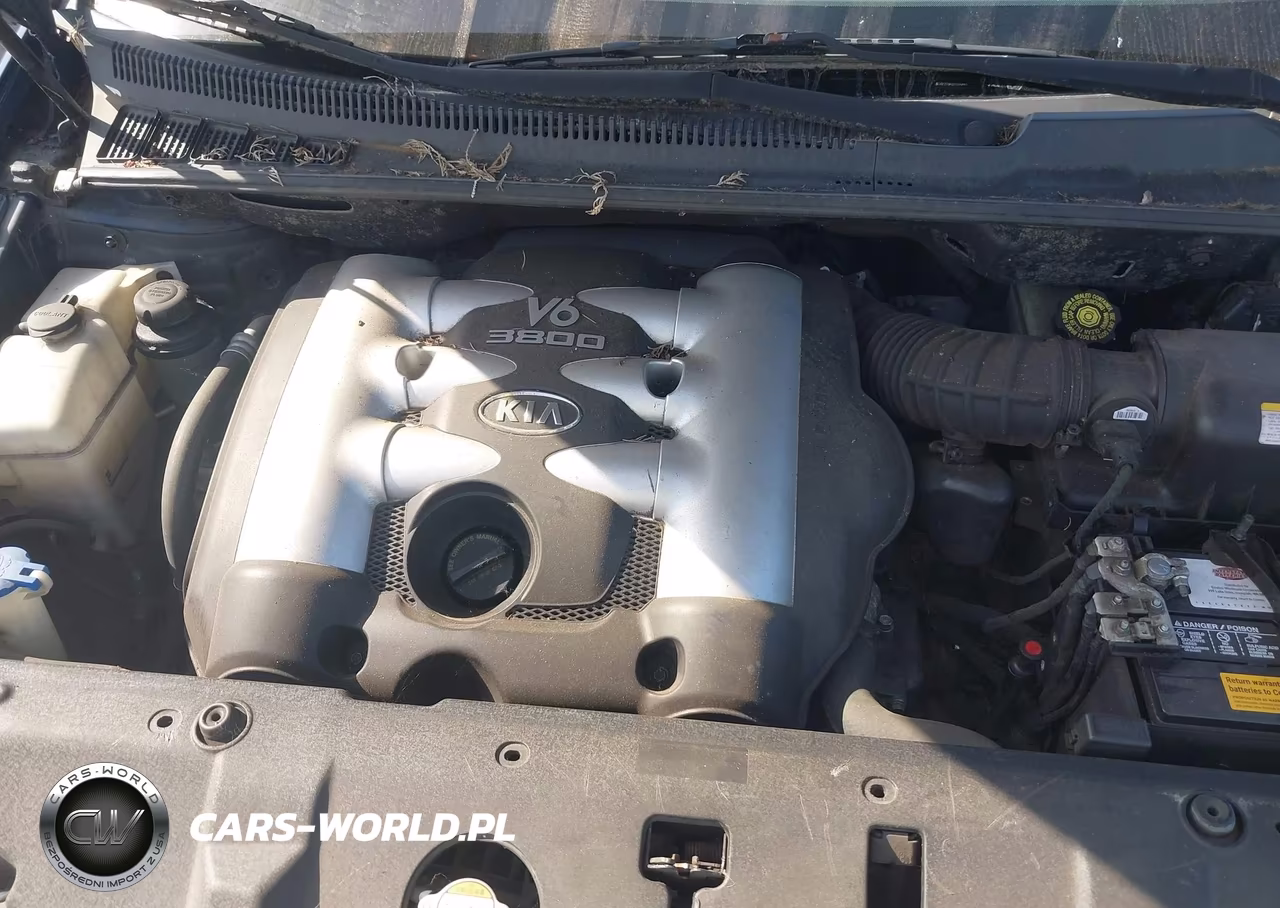 2006 Kia Sedona Ex-Lx VIN:KNDMB233066082525 - 10