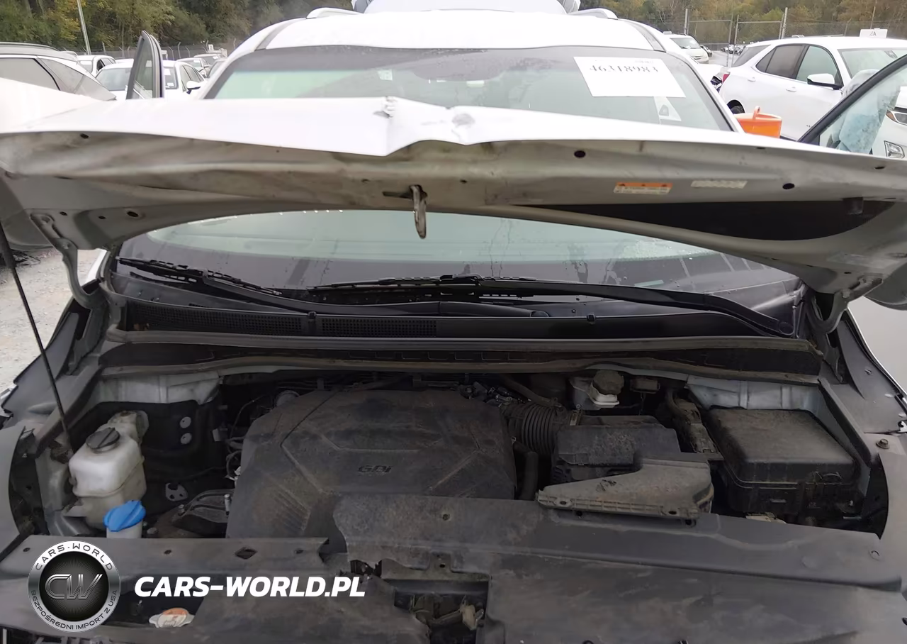 2019 Kia Sedona Ex VIN:KNDMB5C12K6508208 - 10