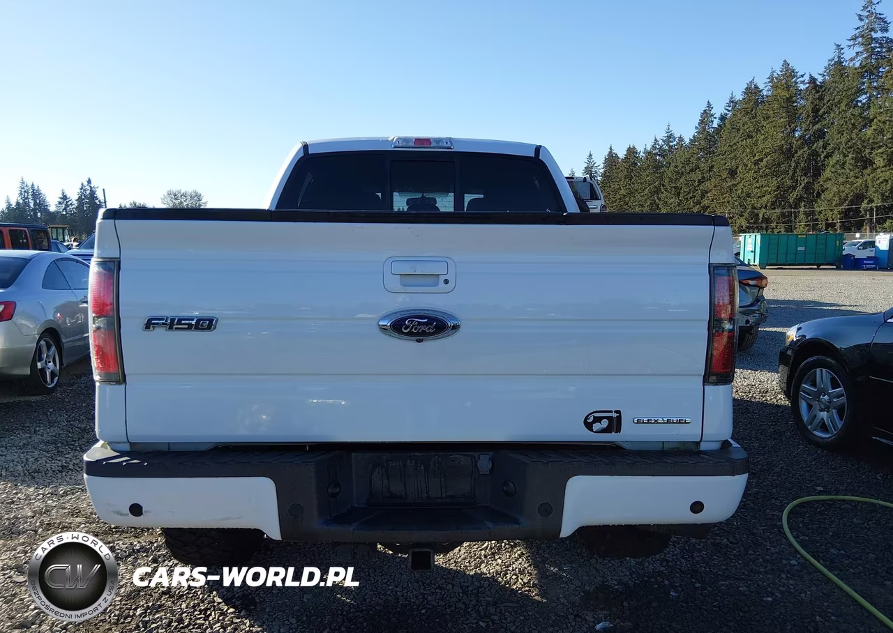 2014 Ford F-150 Fx4 VIN:1FTFW1EF7EFB88712 - 17