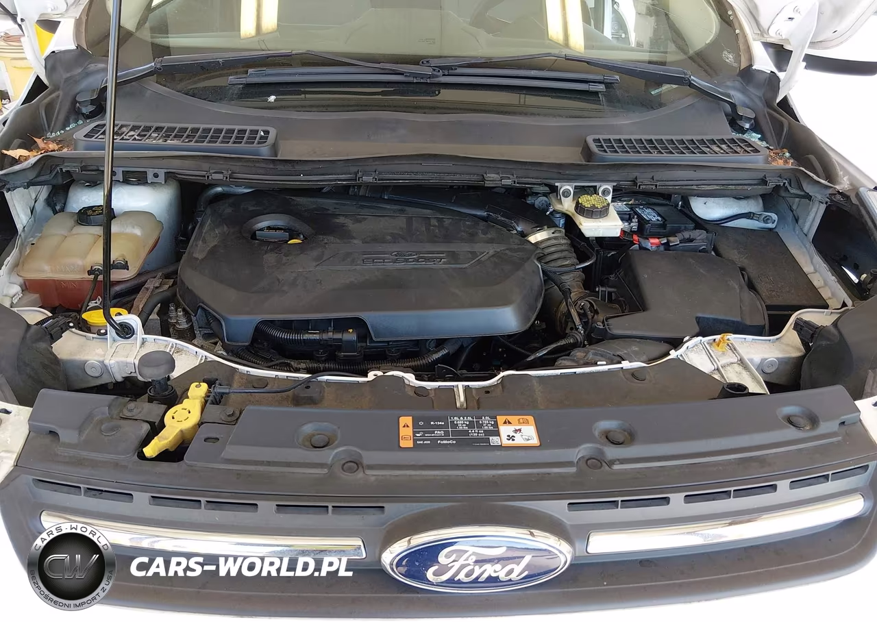 2015 Ford Escape Se VIN:1FMCU9GX6FUA44302 - 10