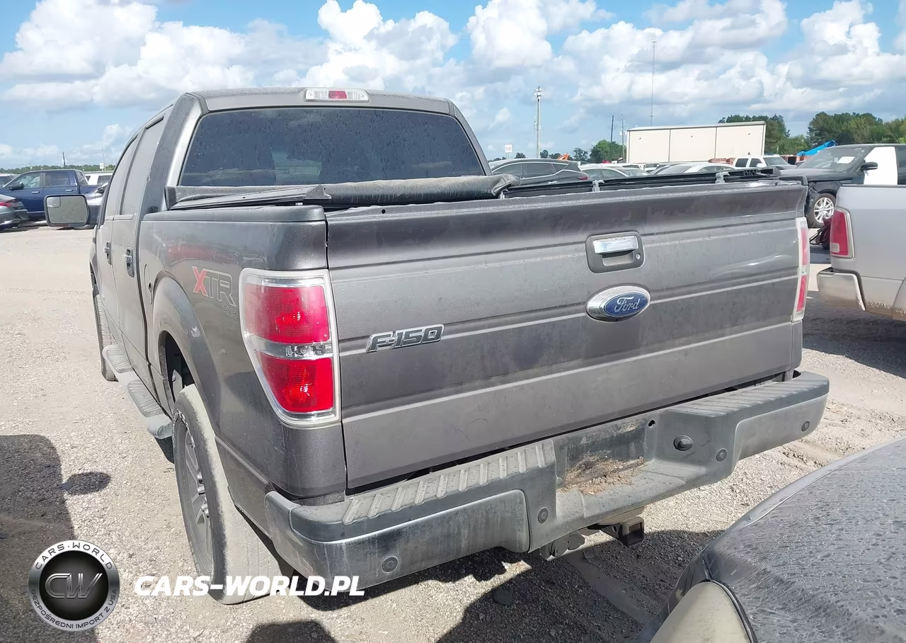 2013 Ford F-150 Xlt VIN:1FTFW1ET5DKE63599 - 3