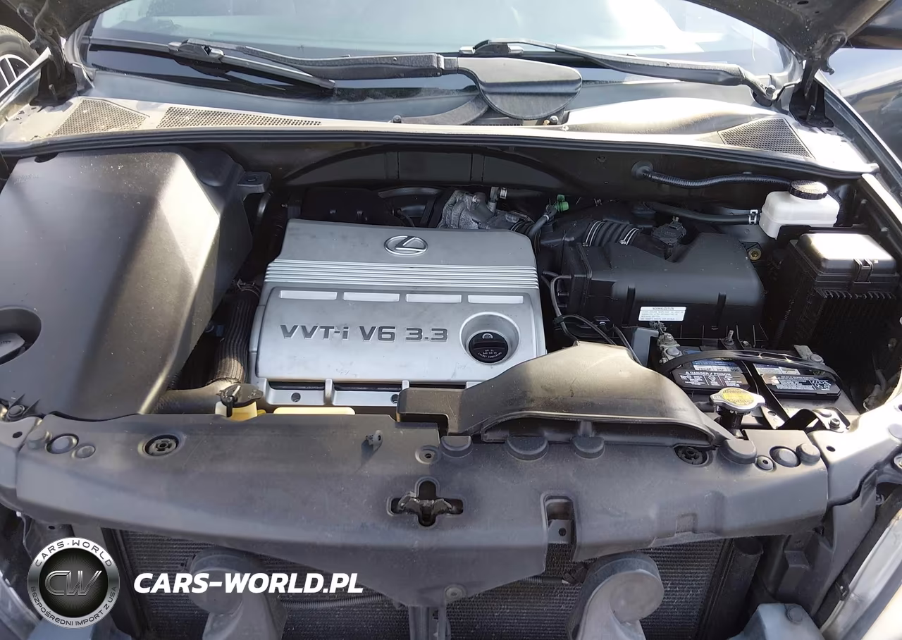 2006 Lexus Rx 330 Base VIN:2T2HA31U56C091201 - 10