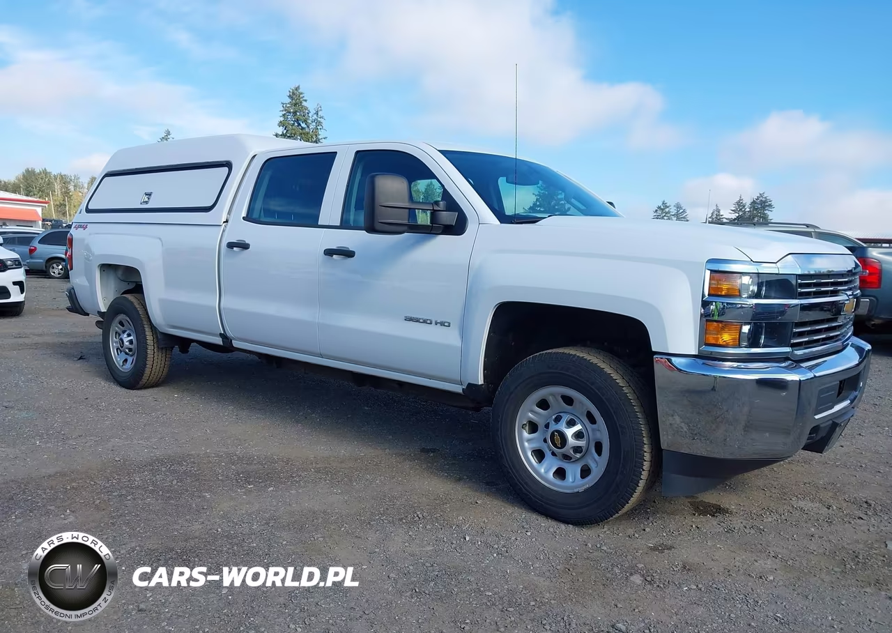 2018 Chevrolet Silverado 3500Hd Wt VIN:1GC4KYCG3JF274116 - 1