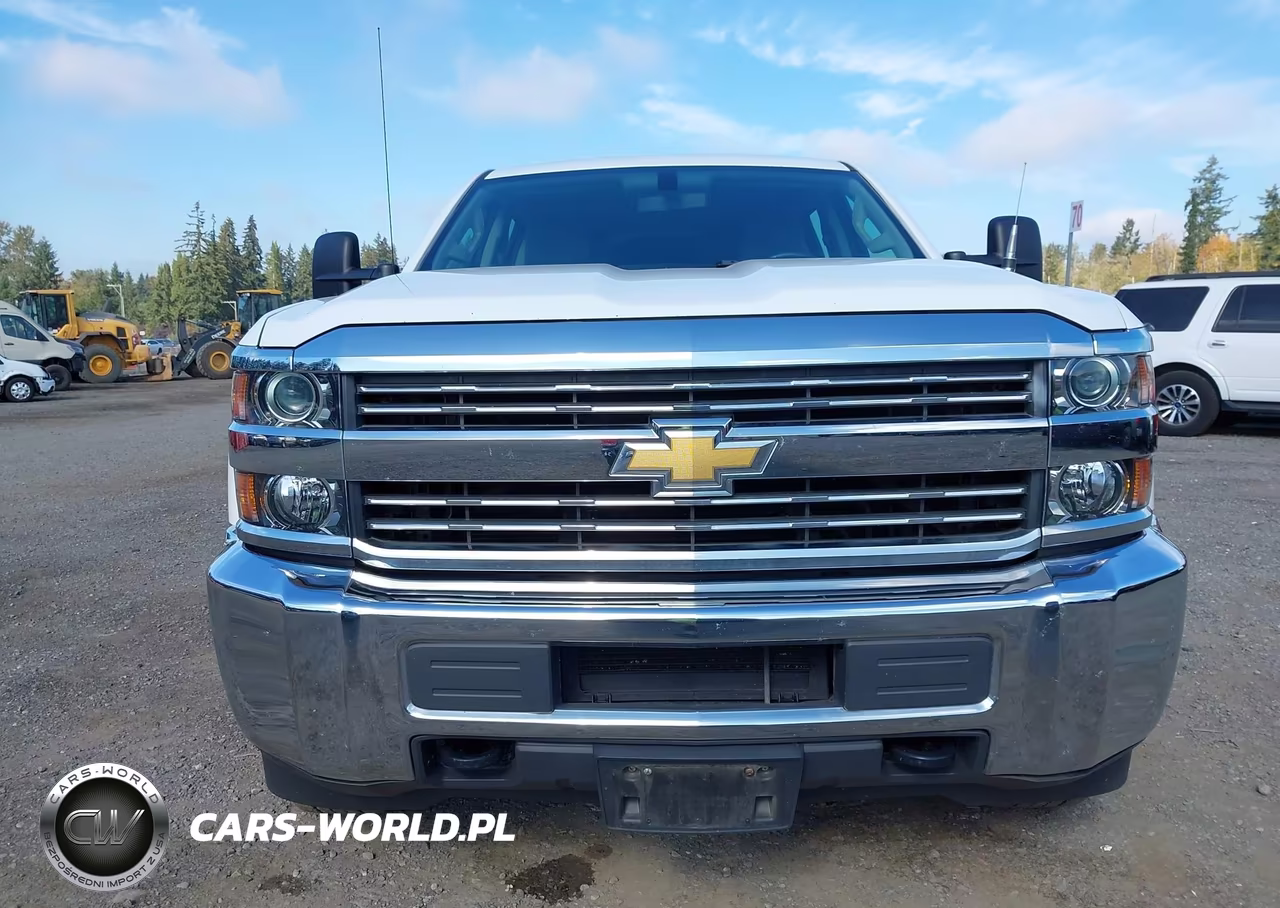 2018 Chevrolet Silverado 3500Hd Wt VIN:1GC4KYCG3JF274116 - 12