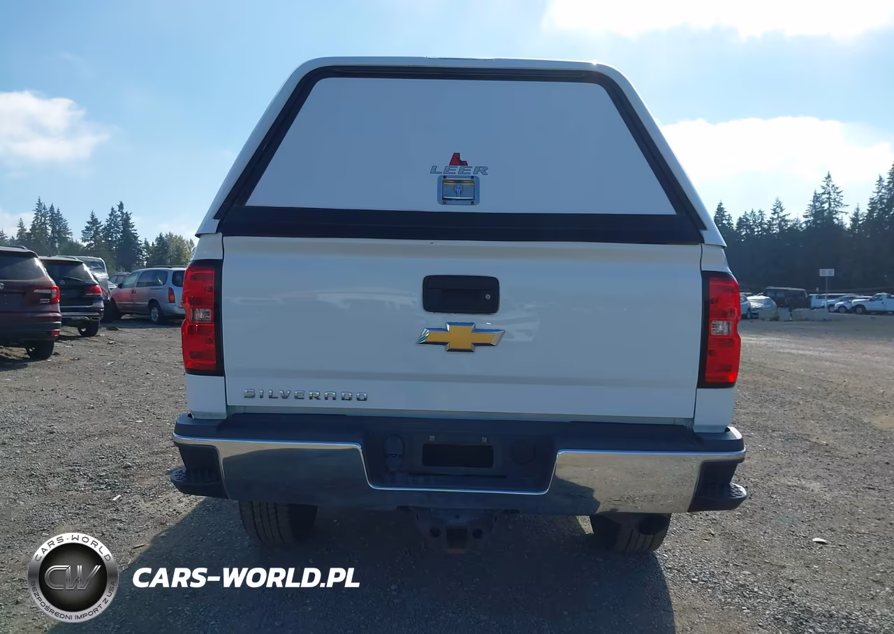 2018 Chevrolet Silverado 3500Hd Wt VIN:1GC4KYCG3JF274116 - 16