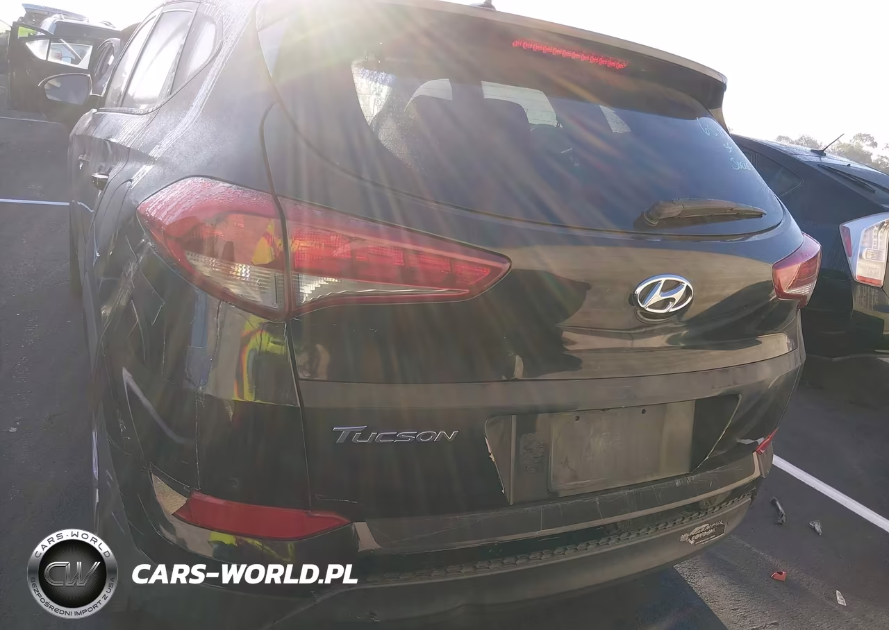 2017 Hyundai Tucson Se VIN:KM8J33A46HU282742 - 16