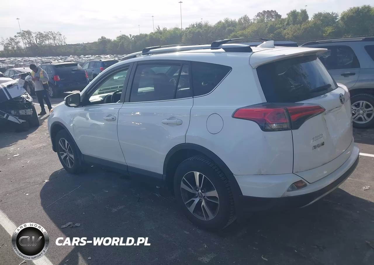 2018 Toyota Rav4 Xle VIN:JTMRFREV0JJ245391 - 3
