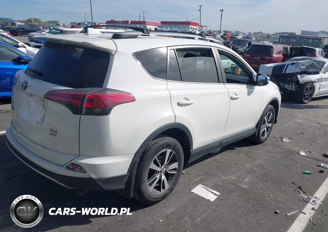 2018 Toyota Rav4 Xle VIN:JTMRFREV0JJ245391 - 4