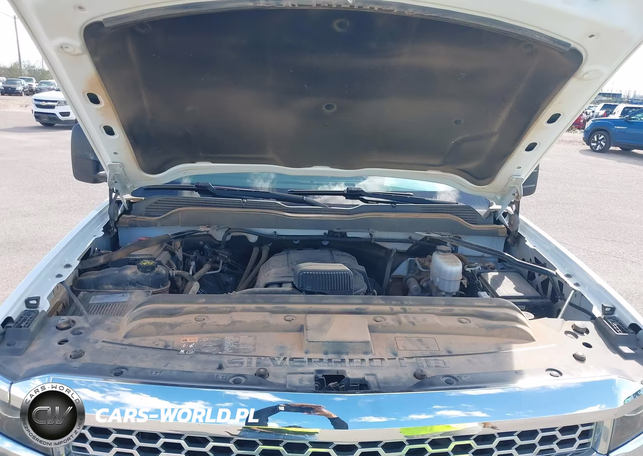 2019 Chevrolet Silverado 3500Hd Wt VIN:1GC4KVCG4KF210943 - 10