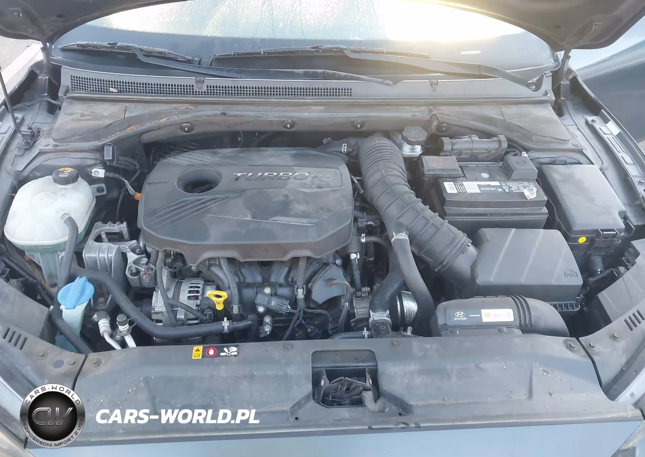 2019 Hyundai Veloster Turbo VIN:KMHTH6AB6KU009205 - 10