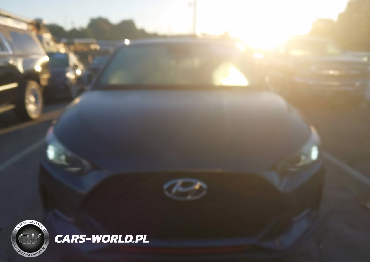 2019 Hyundai Veloster Turbo VIN:KMHTH6AB6KU009205 - 12