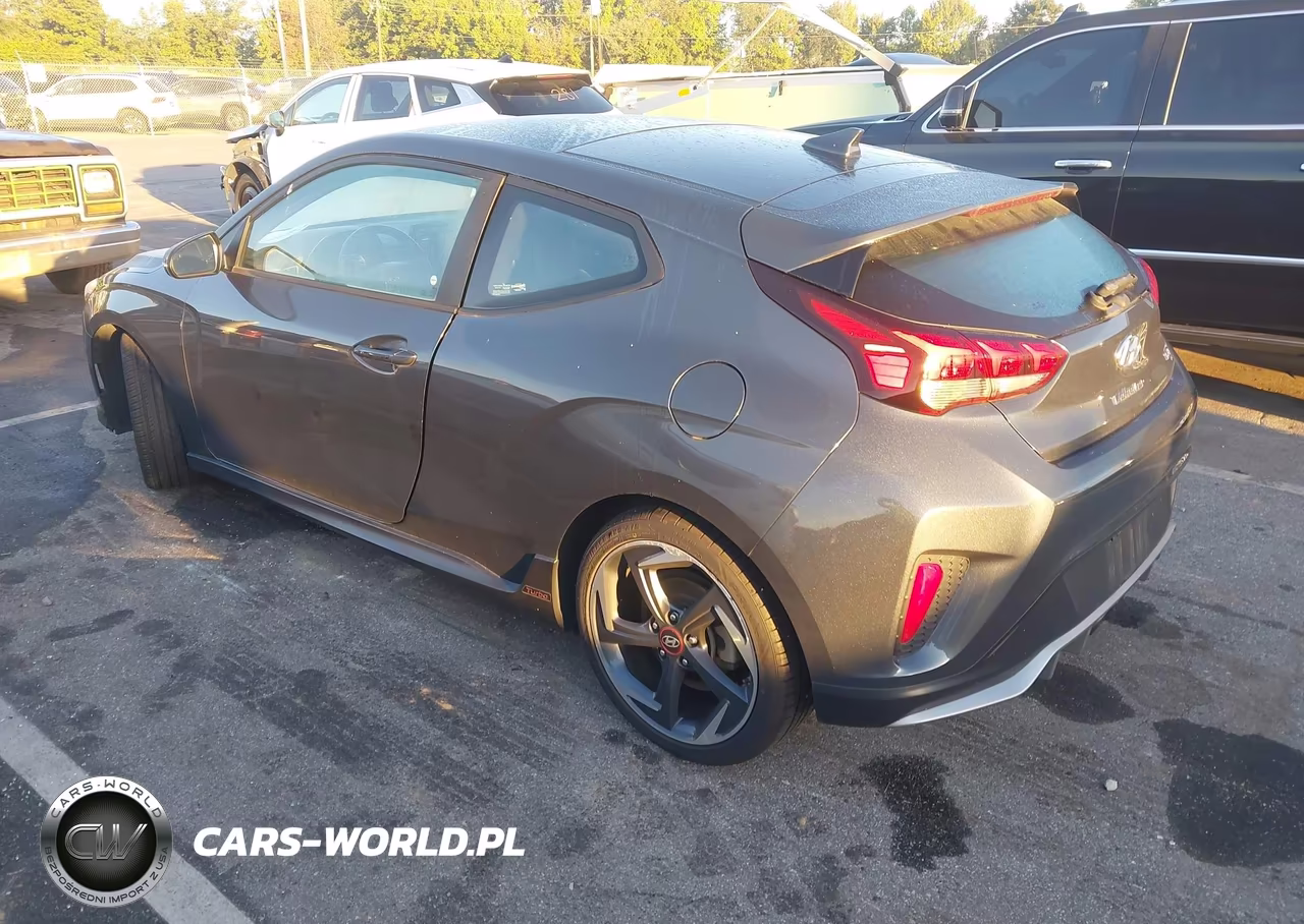 2019 Hyundai Veloster Turbo VIN:KMHTH6AB6KU009205 - 3