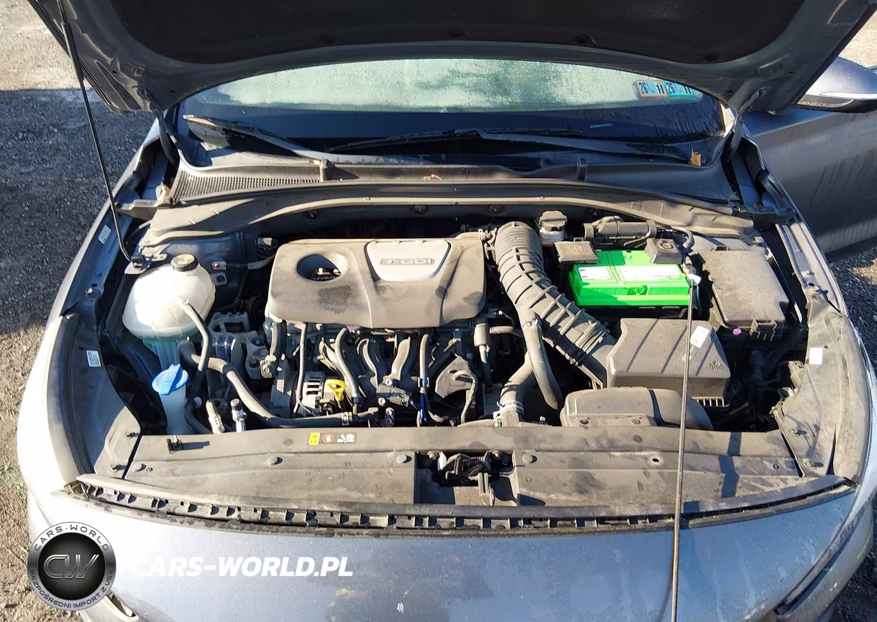 2018 Hyundai Elantra Gt Sport VIN:KMHH55LC5JU077007 - 10