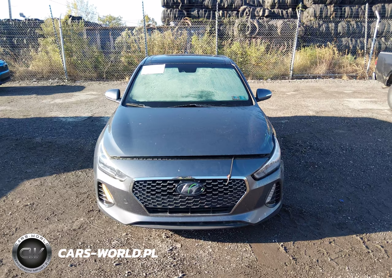 2018 Hyundai Elantra Gt Sport VIN:KMHH55LC5JU077007 - 12