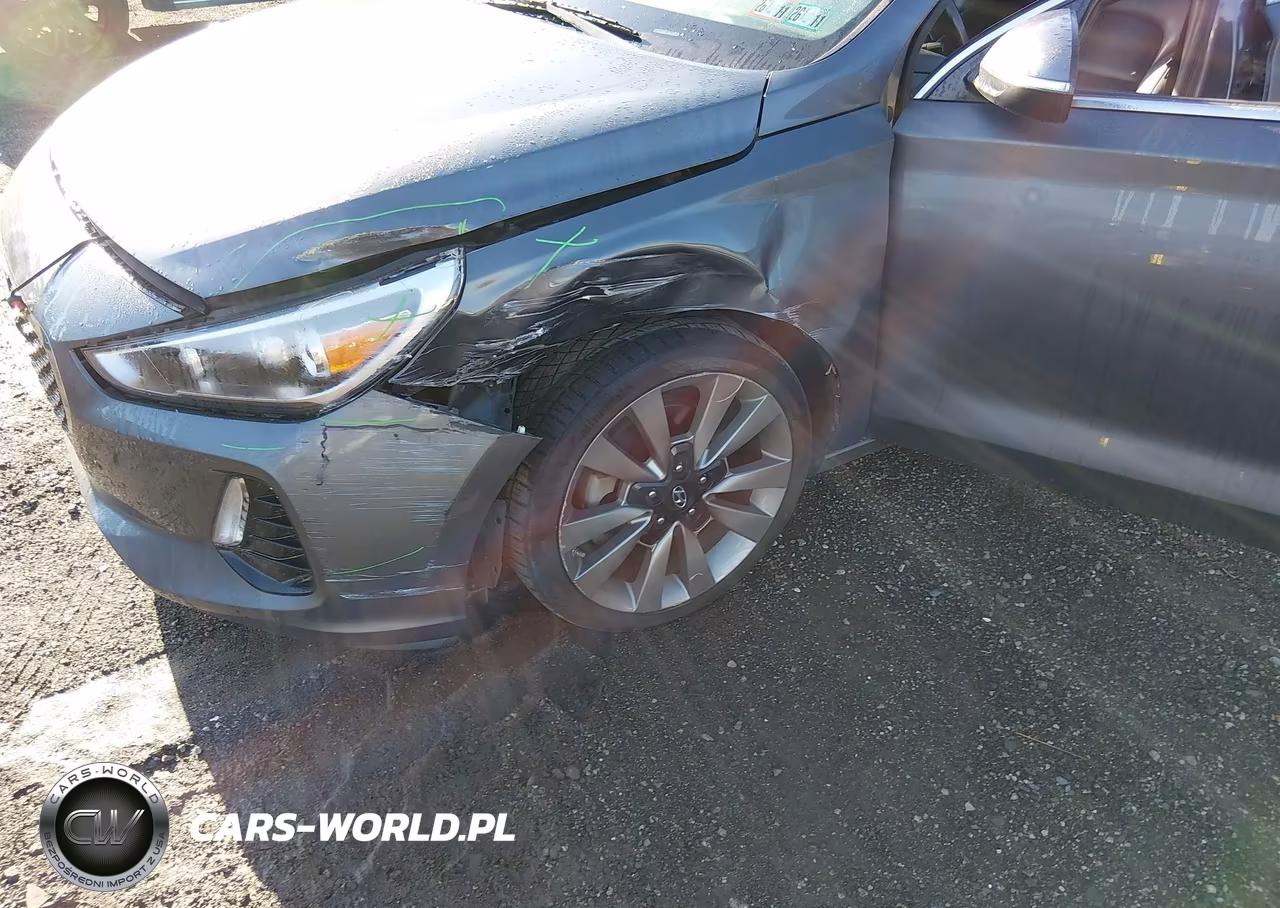 2018 Hyundai Elantra Gt Sport VIN:KMHH55LC5JU077007 - 17