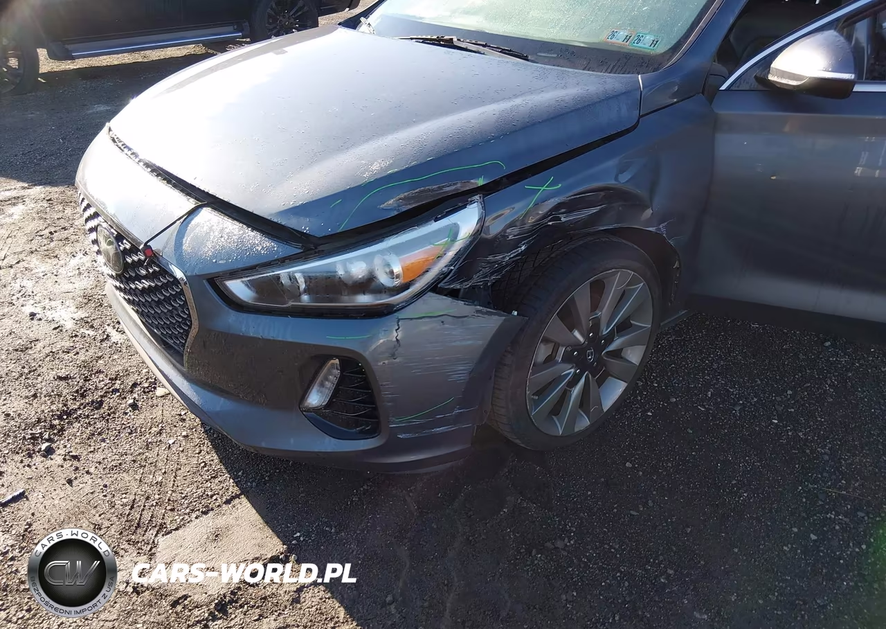 2018 Hyundai Elantra Gt Sport VIN:KMHH55LC5JU077007 - 6