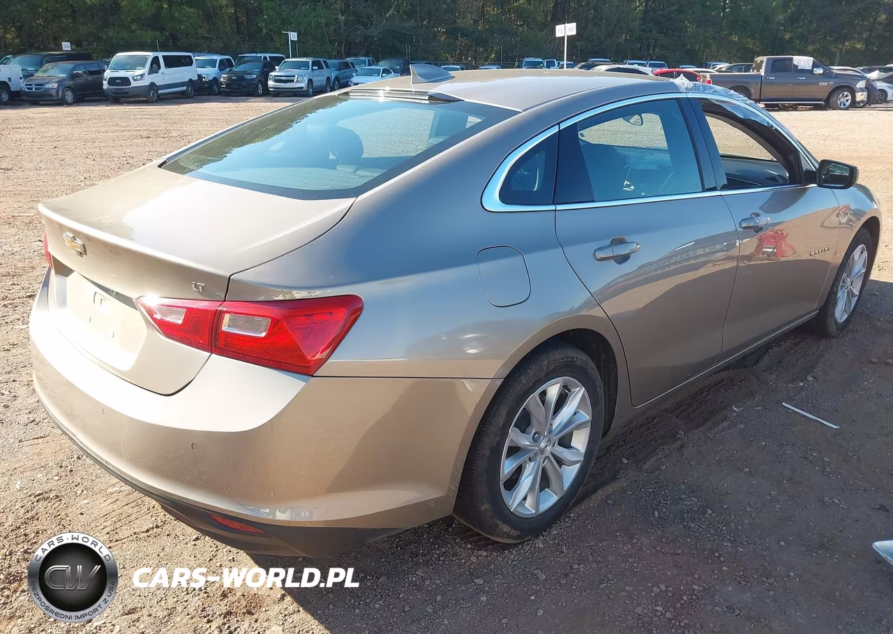 2025 Chevrolet Malibu Fwd 1Lt VIN:1G1ZD5ST7SF140250 - 4