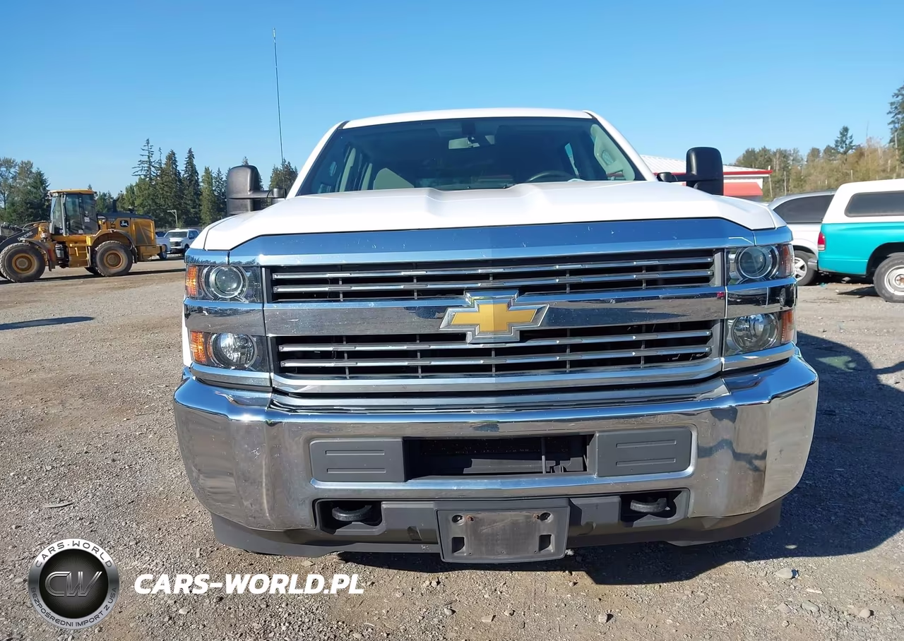 2018 Chevrolet Silverado 3500Hd Wt VIN:1GC4KYCGXJF272492 - 12