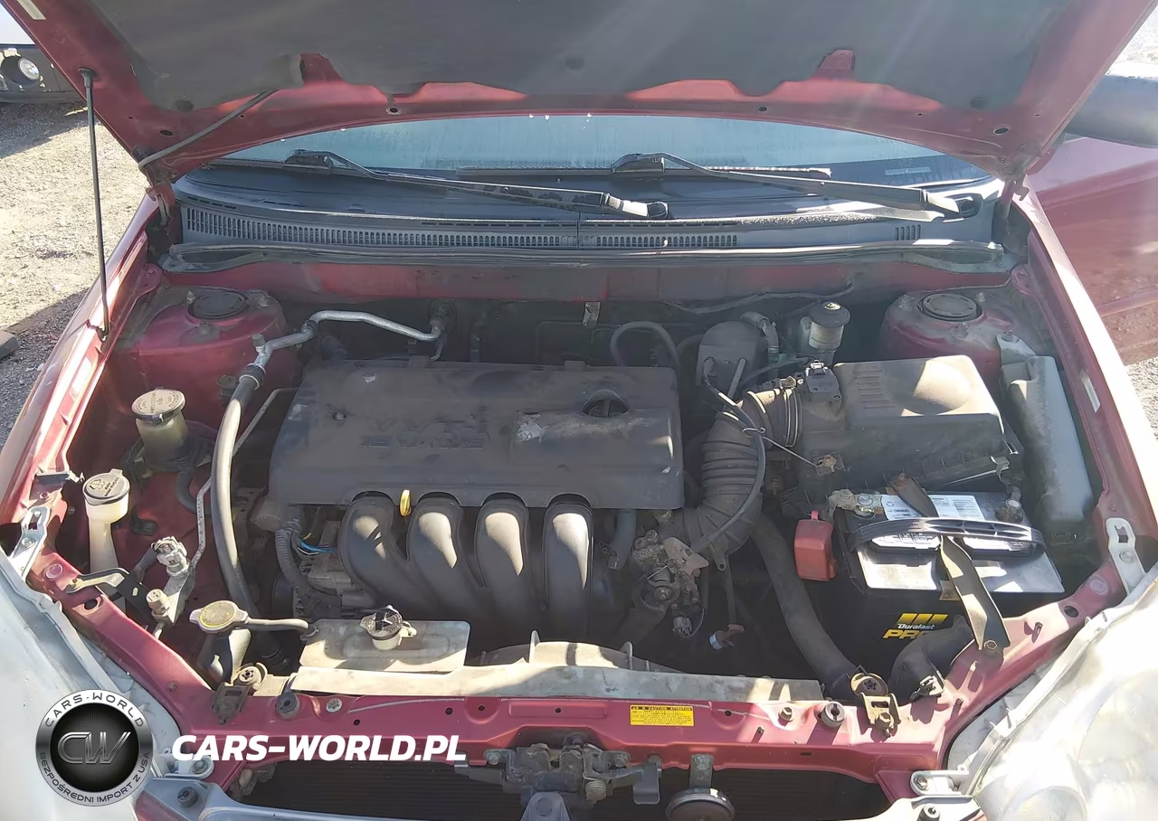 2003 Toyota Corolla Le VIN:JTDBR32E032014238 - 10