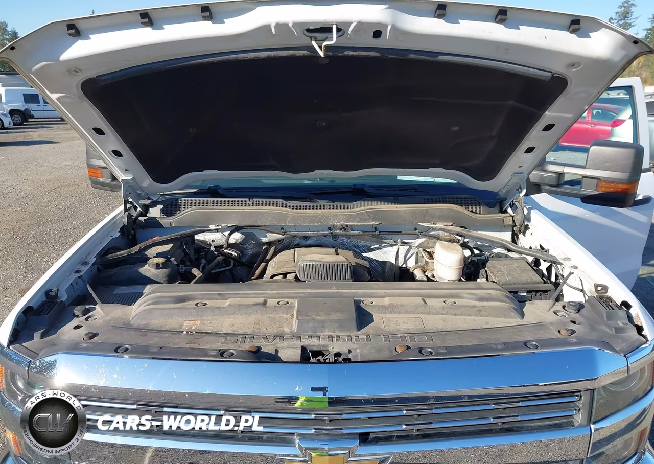 2017 Chevrolet Silverado 3500Hd Wt VIN:1GC4KYCG4HF186069 - 10