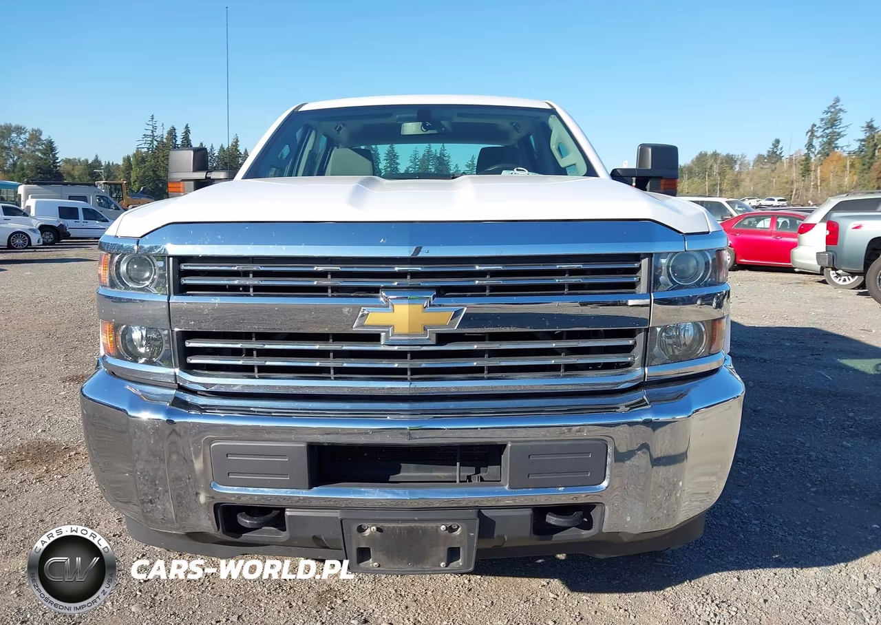 2017 Chevrolet Silverado 3500Hd Wt VIN:1GC4KYCG4HF186069 - 12