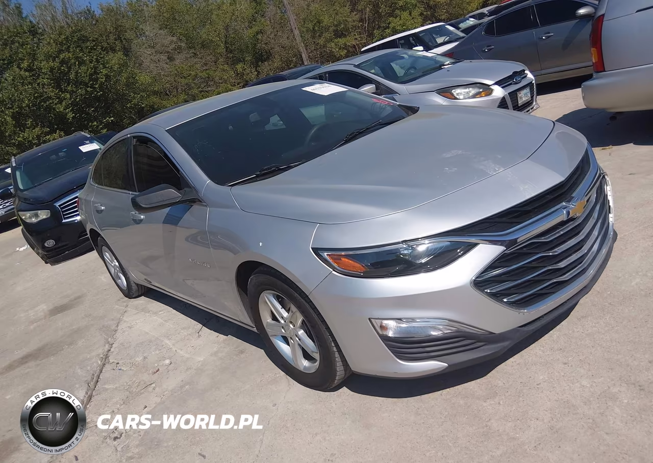 2019 Chevrolet Malibu 1Ls VIN:1G1ZB5ST8KF226978 - 1
