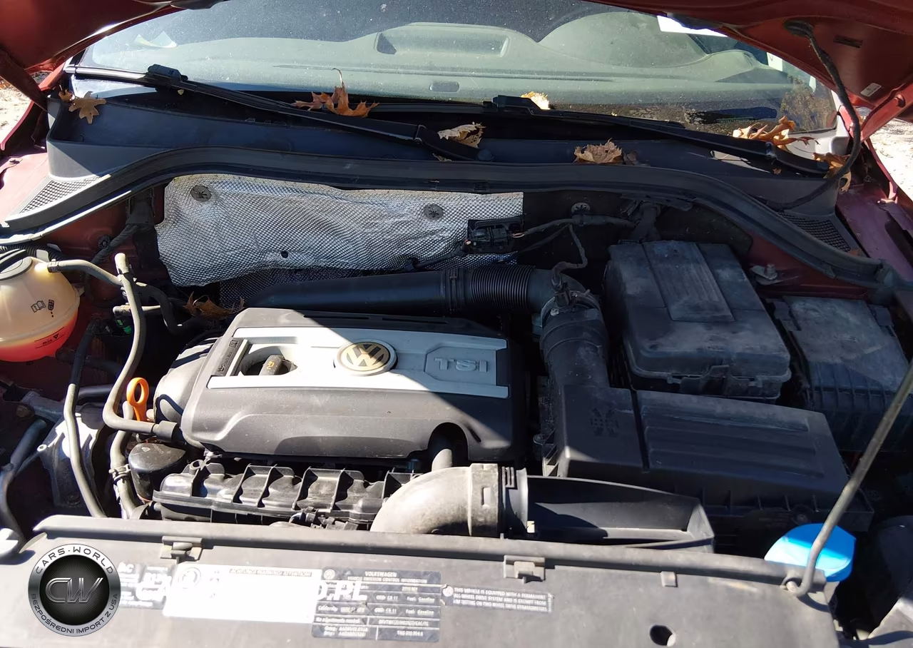 2010 Volkswagen Tiguan Wolfsburg Edition VIN:WVGBV7AX7AW003938 - 10
