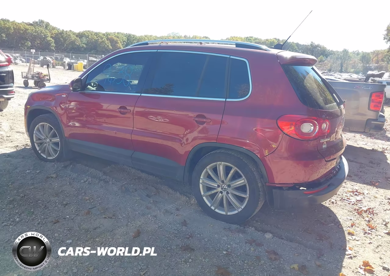 2010 Volkswagen Tiguan Wolfsburg Edition VIN:WVGBV7AX7AW003938 - 3