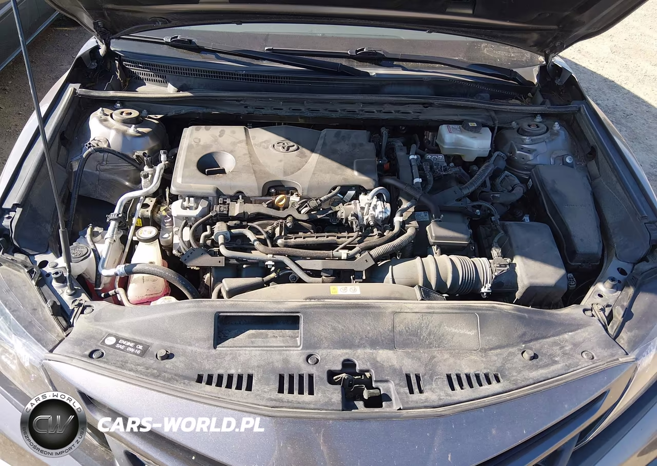 2022 Toyota Camry Se Hybrid VIN:4T1G31AK3NU572817 - 10