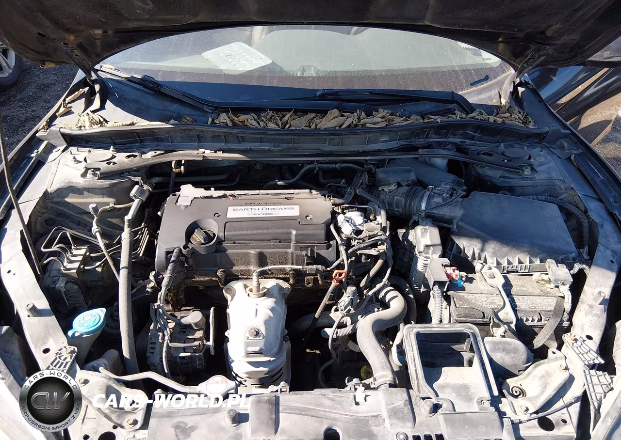 2015 Honda Accord Ex-L VIN:1HGCR2F88FA228702 - 10