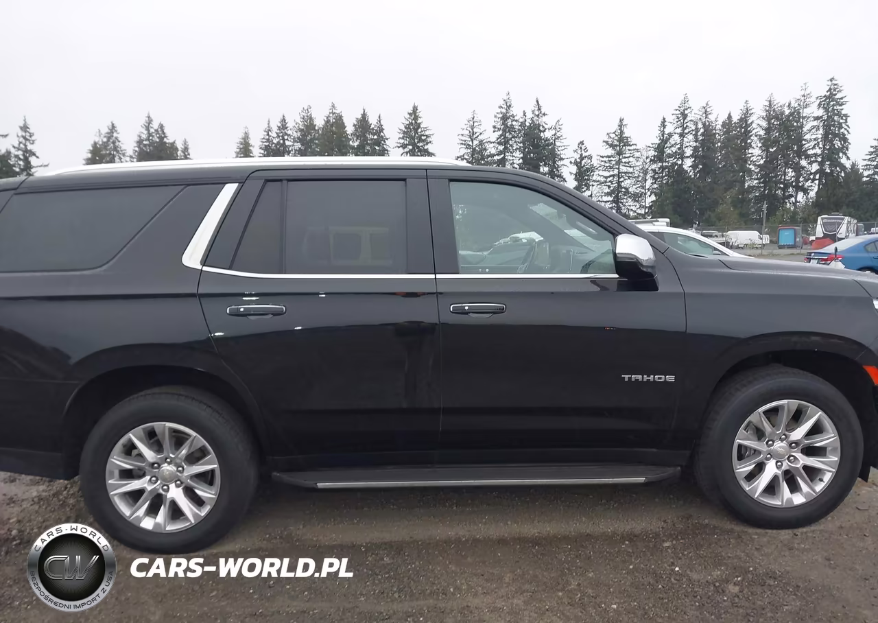 2022 Chevrolet Tahoe 4Wd Premier VIN:1GNSKSKD2NR103087 - 13