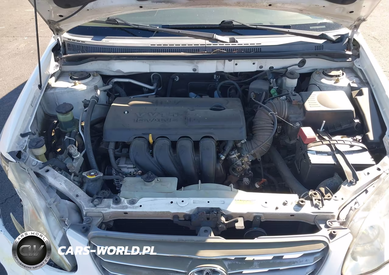 2004 Toyota Corolla Le VIN:JTDBR32E342027146 - 10