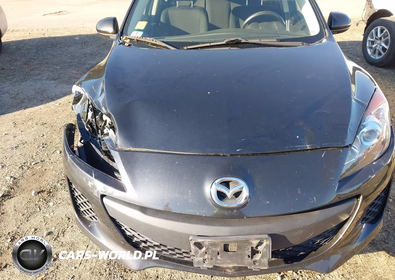2013 Mazda Mazda3 I Sport VIN:JM1BL1UP1D1790647 - 12