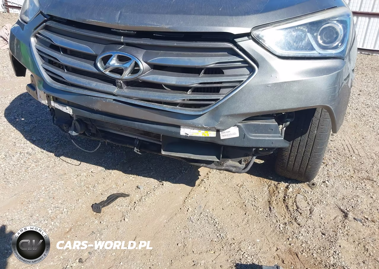2017 Hyundai Santa Fe Sport 2.0T Ultimate VIN:5NMZW4LA6HH046784 - 6