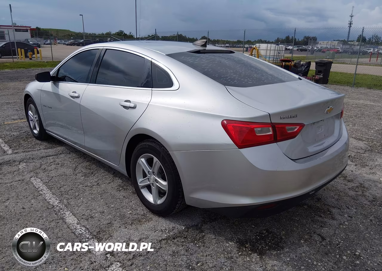 2020 Chevrolet Malibu Fwd 1Fl VIN:1G1ZC5ST4LF013654 - 3