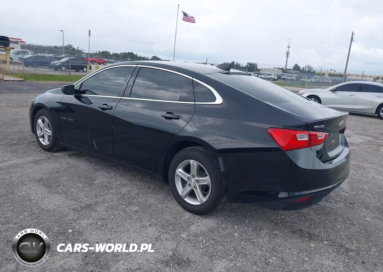 2020 Chevrolet Malibu Fwd 1Fl VIN:1G1ZC5ST4LF011130 - 3