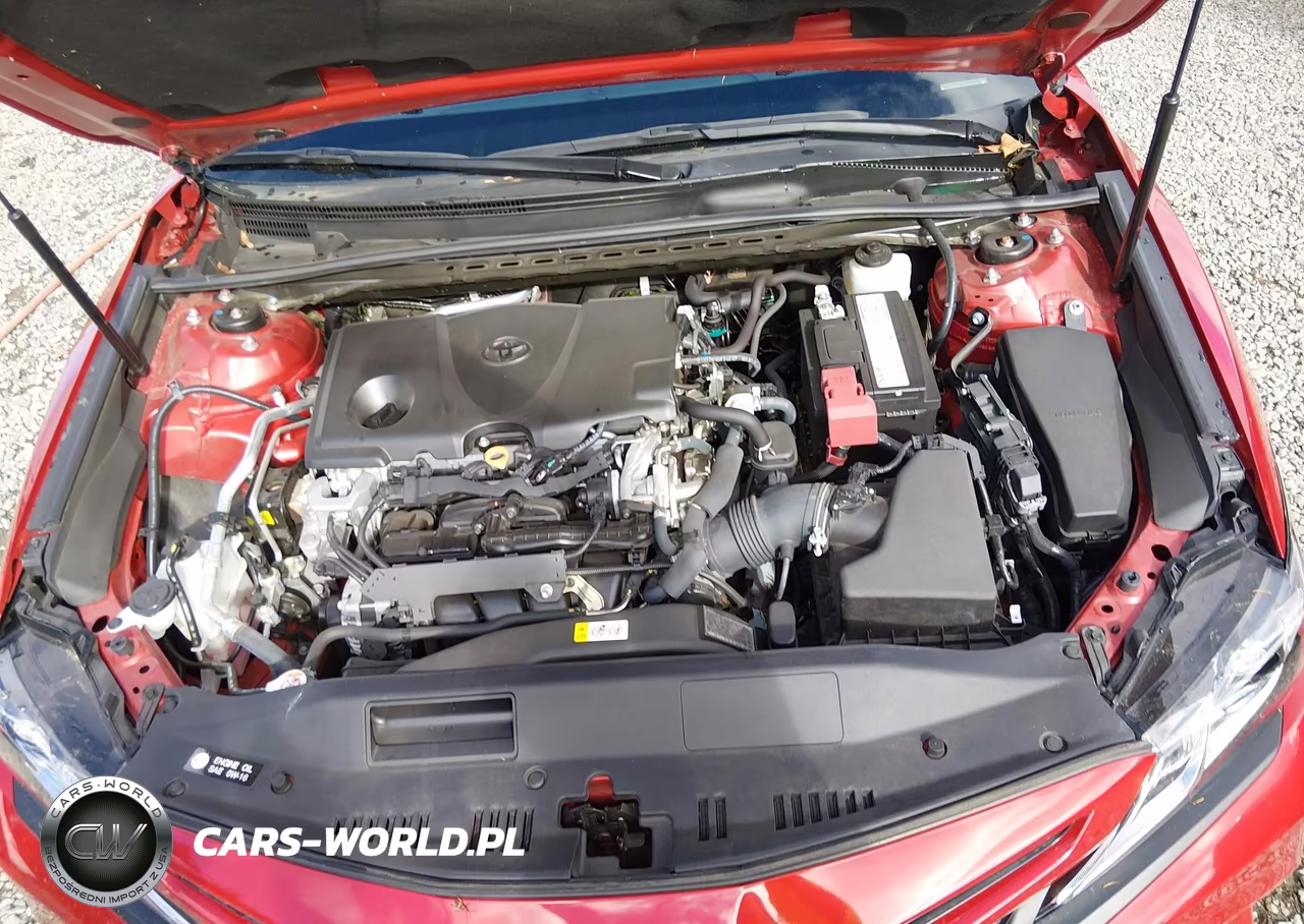 2019 Toyota Camry Se VIN:4T1B11HK4KU282314 - 10