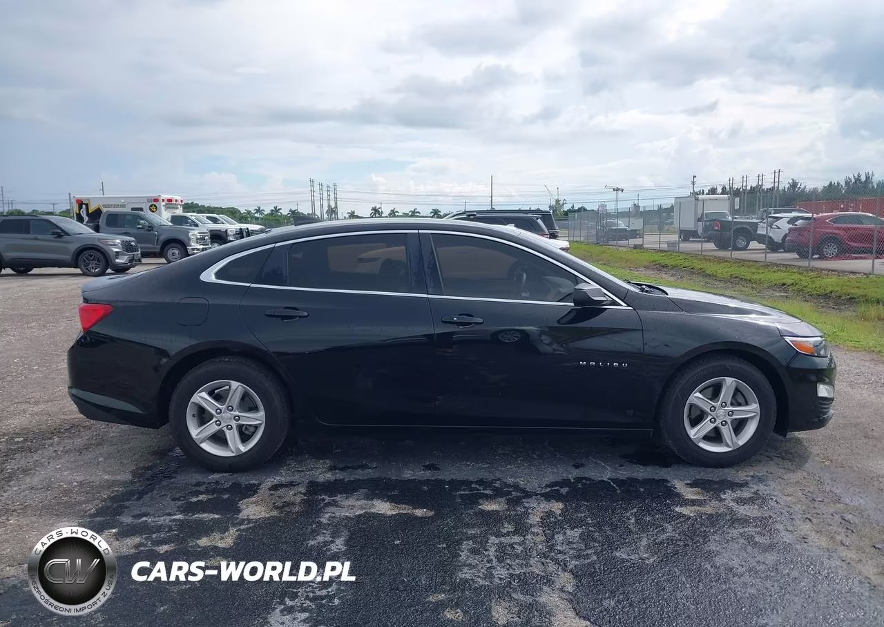 2019 Chevrolet Malibu 1Fl VIN:1G1ZC5ST8KF201088 - 17