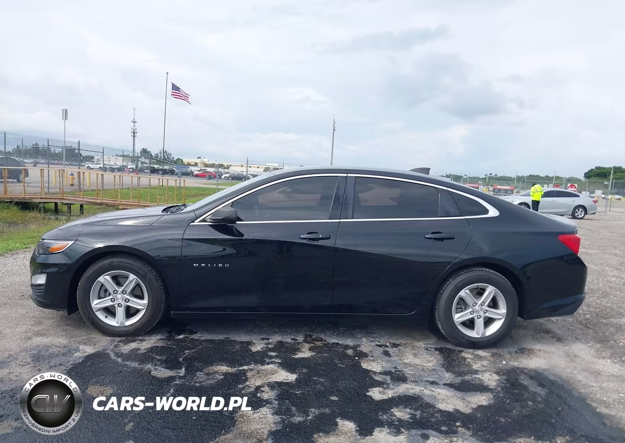 2019 Chevrolet Malibu 1Fl VIN:1G1ZC5ST8KF201088 - 18
