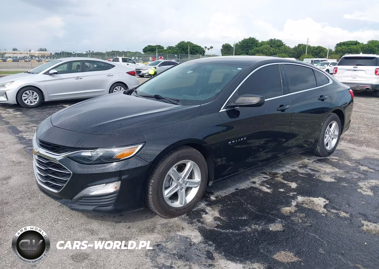 2019 Chevrolet Malibu 1Fl VIN:1G1ZC5ST8KF201088 - 2