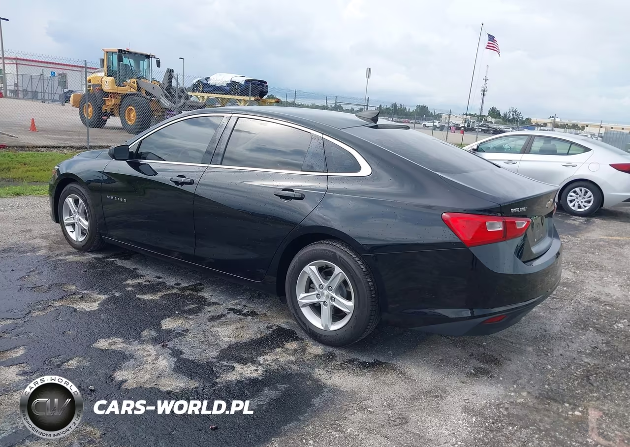 2019 Chevrolet Malibu 1Fl VIN:1G1ZC5ST8KF201088 - 3