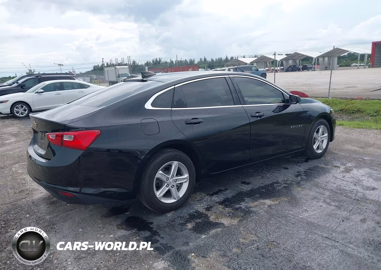 2019 Chevrolet Malibu 1Fl VIN:1G1ZC5ST8KF201088 - 4